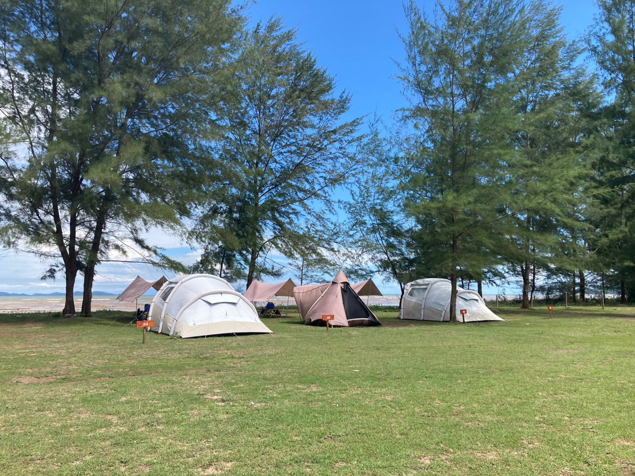 Rented tents