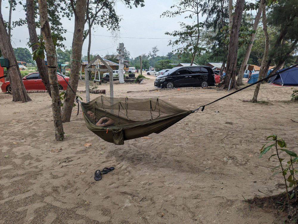 Trees for hammock