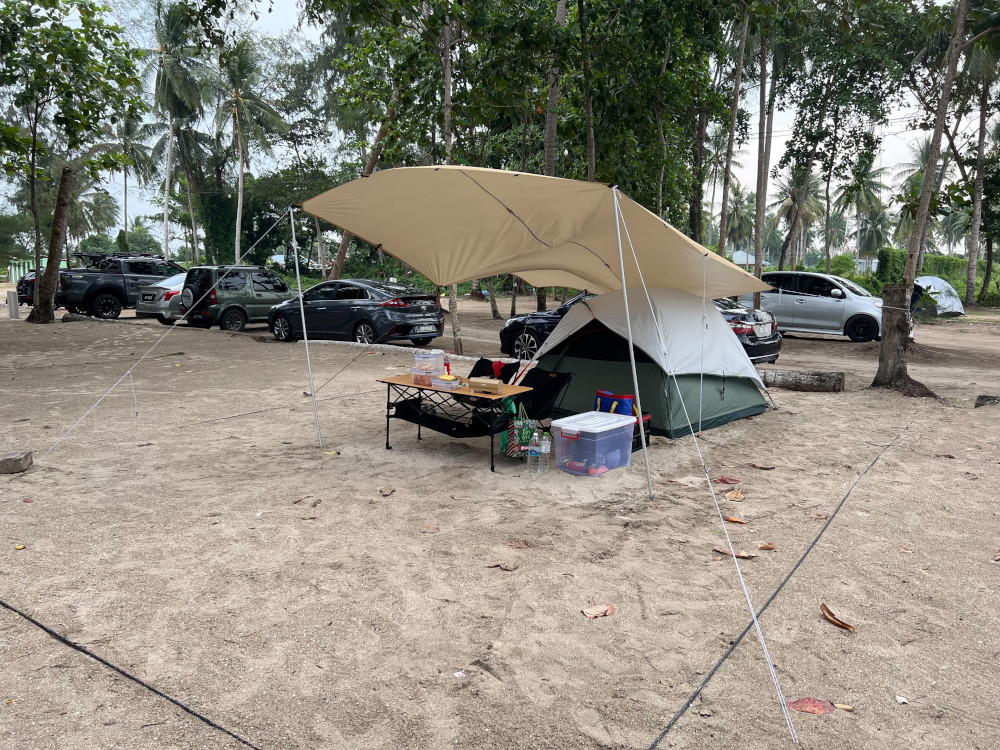 Sandy ground