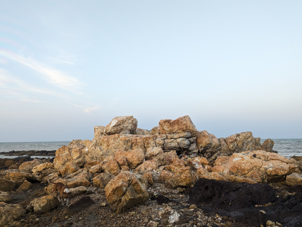 The rocks