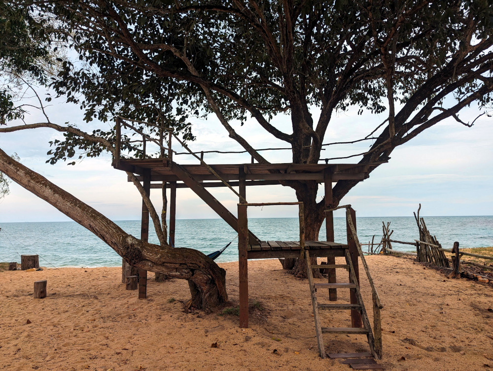 Tree-top Platform